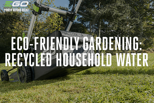 Eco-friendly gardening: using recycled household water on your lawn