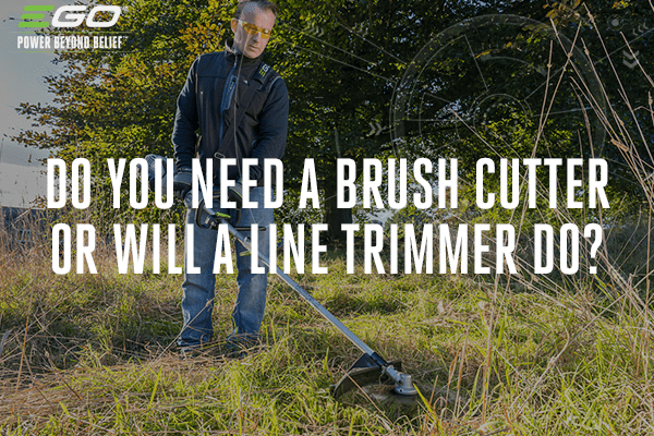 Do you need a brush cutter or will a line trimmer do?