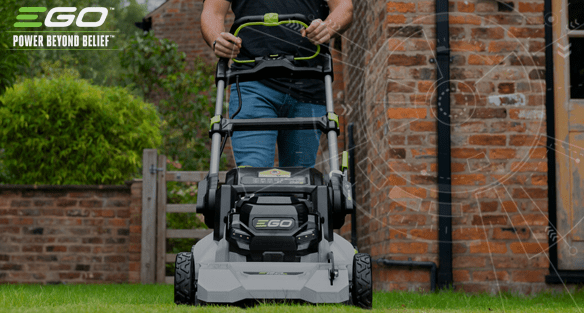 Lawn care in summer