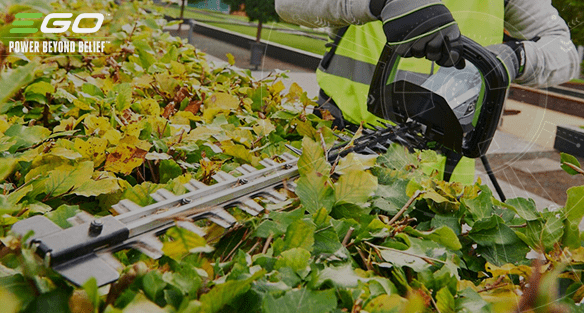 How to trim a hedge straight