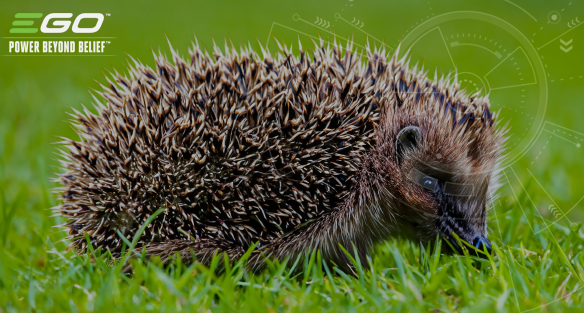 Hedgehog friendly mowing