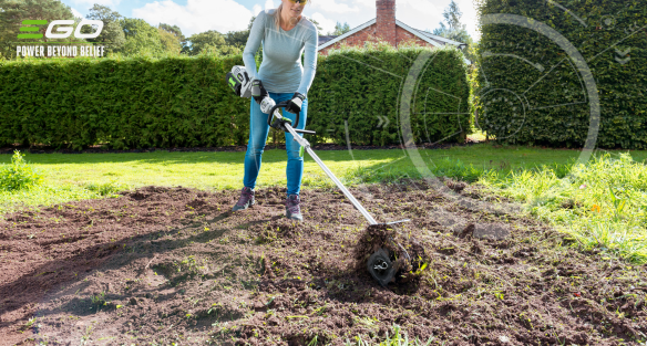 When and how to reseed your lawn