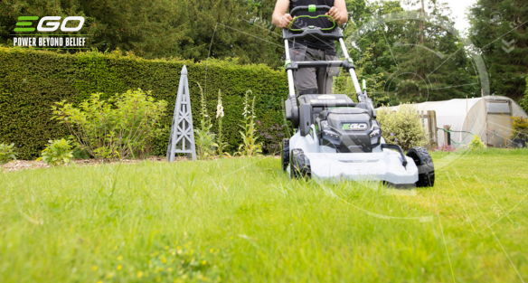 How frequently should you mow your lawn in September?