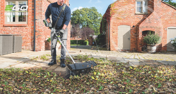 Autumn lawn care with your bristle brush