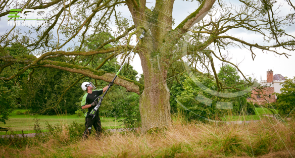 Autumn pruning and how to do it