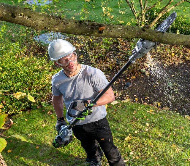 When to Prune Cherry Trees in the UK (Timing & Tips)