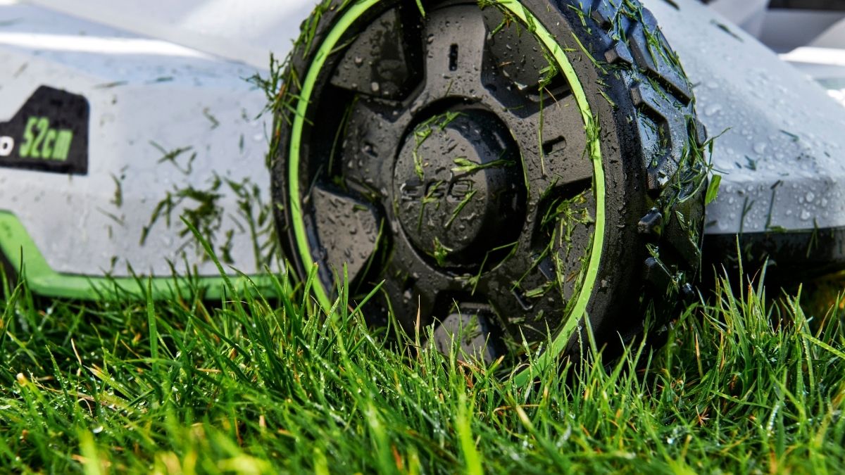 Is Mulching Good for Lawns? (Pros, Cons, & Best Practice)