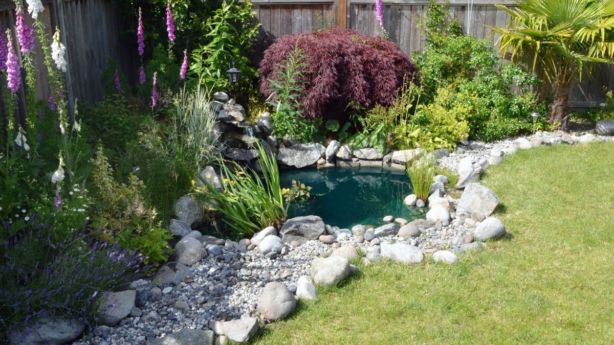 How to create a wildlife friendly garden