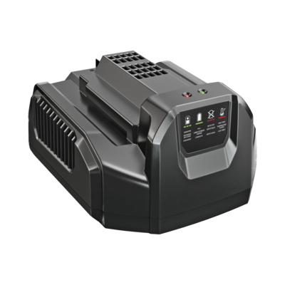 CH2100E STANDARD CHARGER
