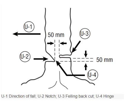 EGO how to fell a tree diagam