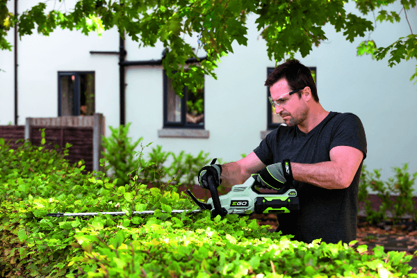 Man trimming hedge